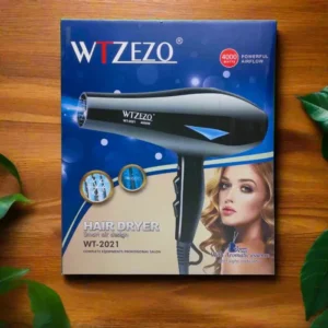 WTZEZO WT-2021 Smart Air Design Cool & Warm Hair Dryer